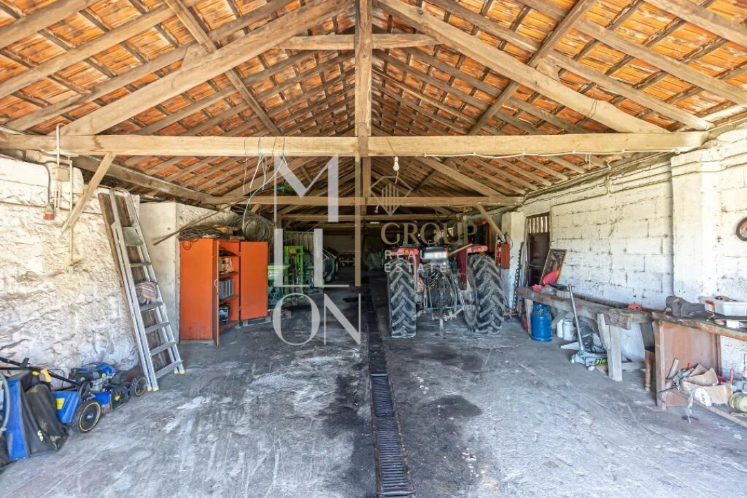 Quinta T7 para Venda em Mangualde, Mesquitela e Cunha Alta Foto 44