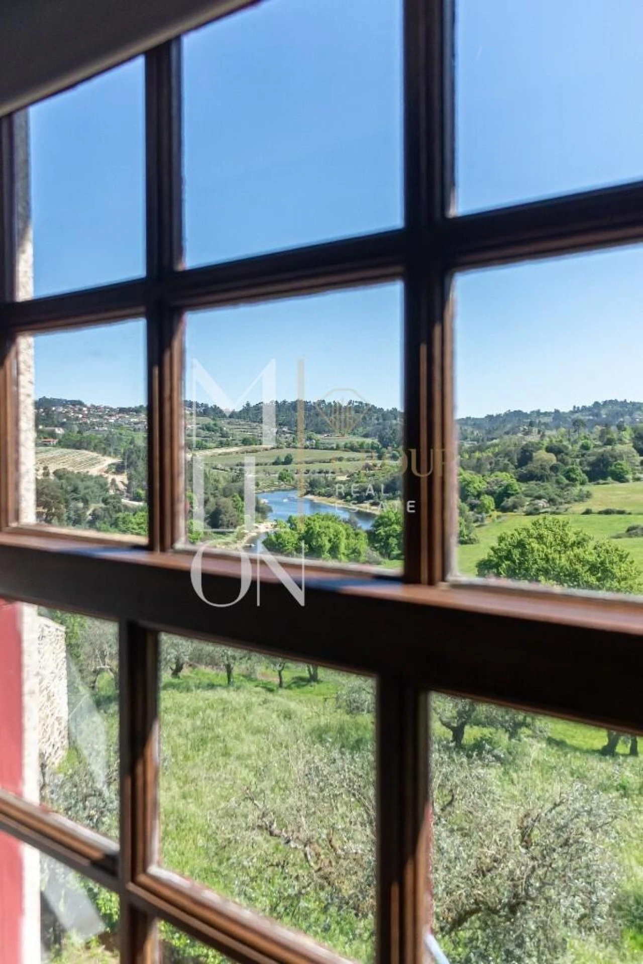 Quinta T7 para Venda em Mangualde, Mesquitela e Cunha Alta Foto 17