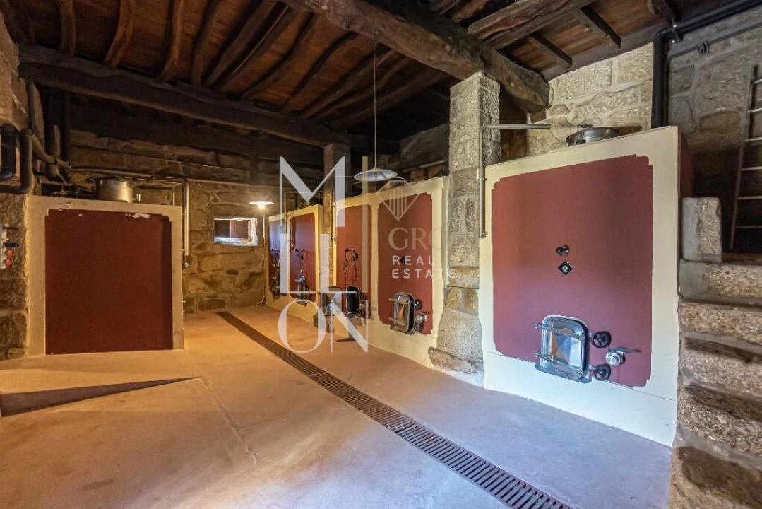 Quinta T7 para Venda em Mangualde, Mesquitela e Cunha Alta Foto 26