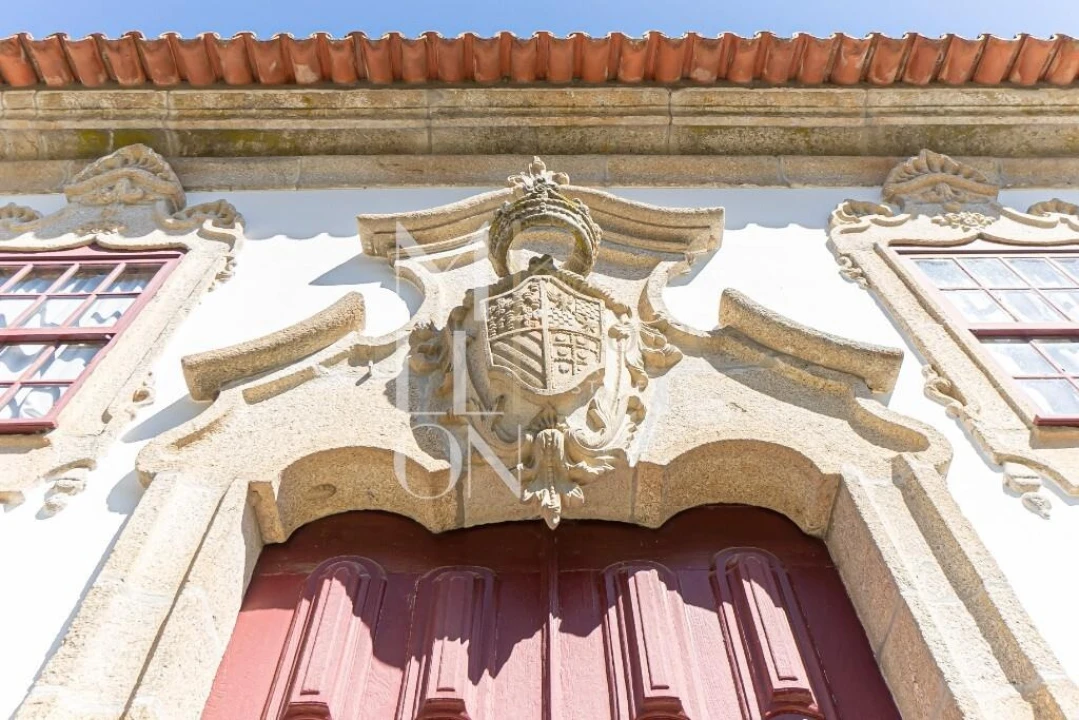 Quinta T7 para Venda em Mangualde, Mesquitela e Cunha Alta Foto 3