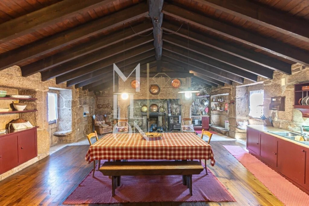 Quinta T7 para Venda em Mangualde, Mesquitela e Cunha Alta Foto 20