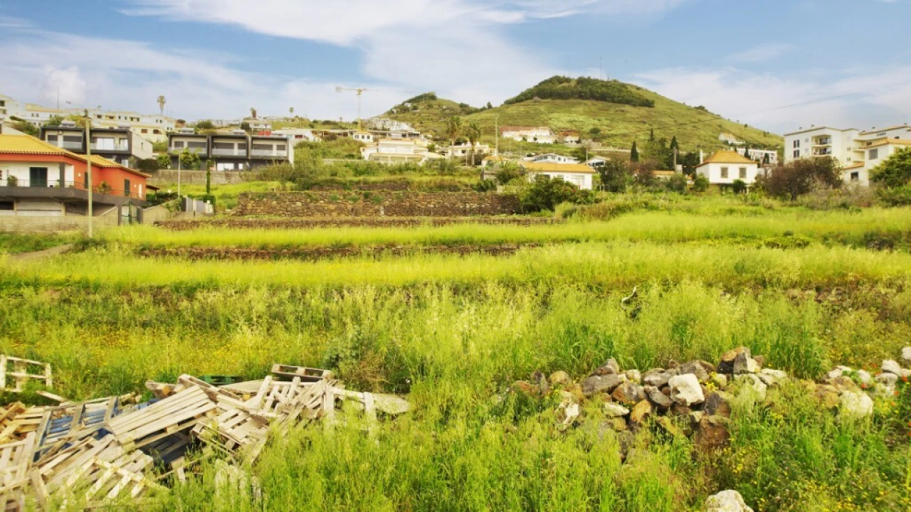 Terreno para Venda em Caniço Foto 10