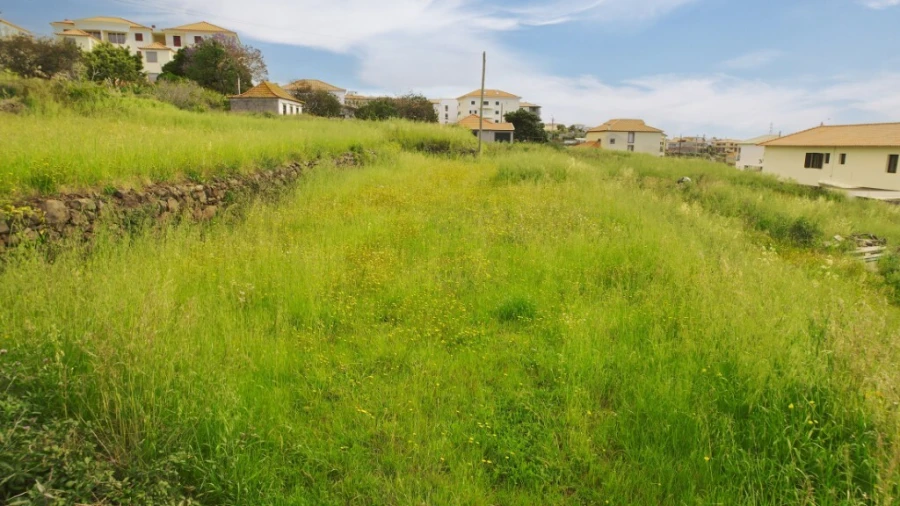 Terreno para Venda em Caniço Foto 14