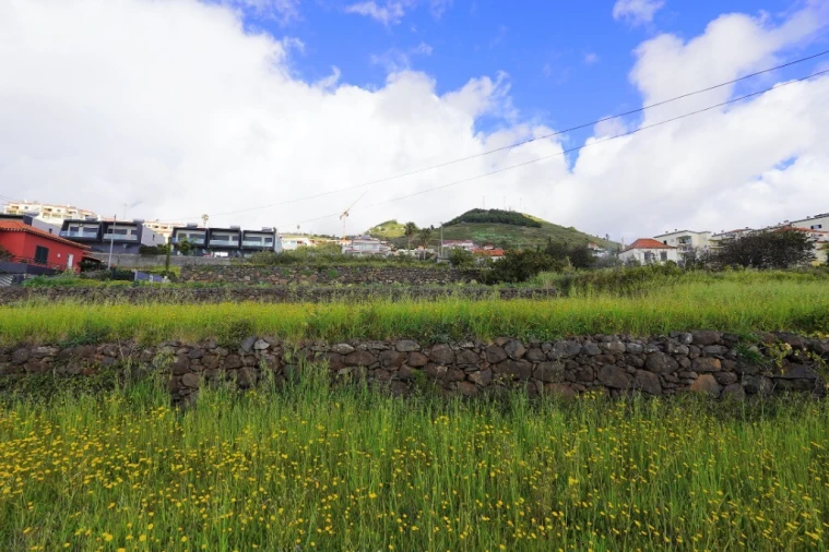 Terreno para Venda em Caniço Foto 5