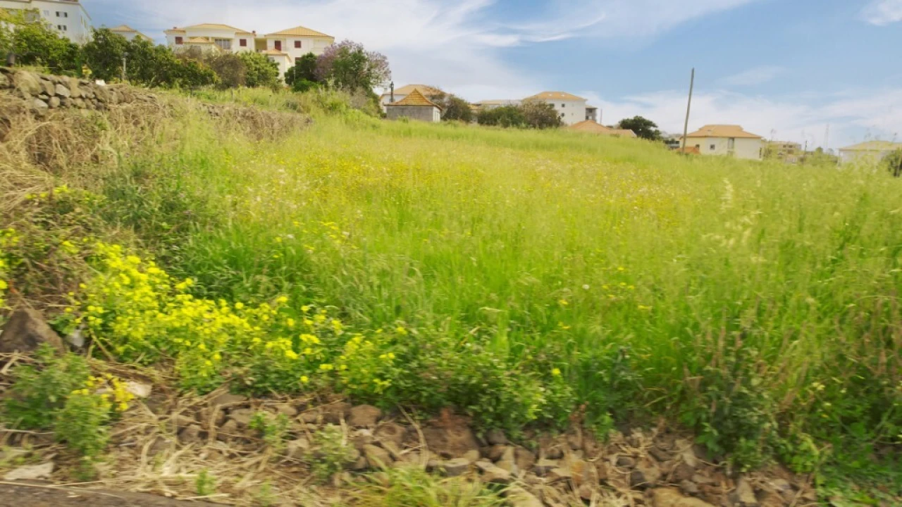 Terreno para Venda em Caniço Foto 15