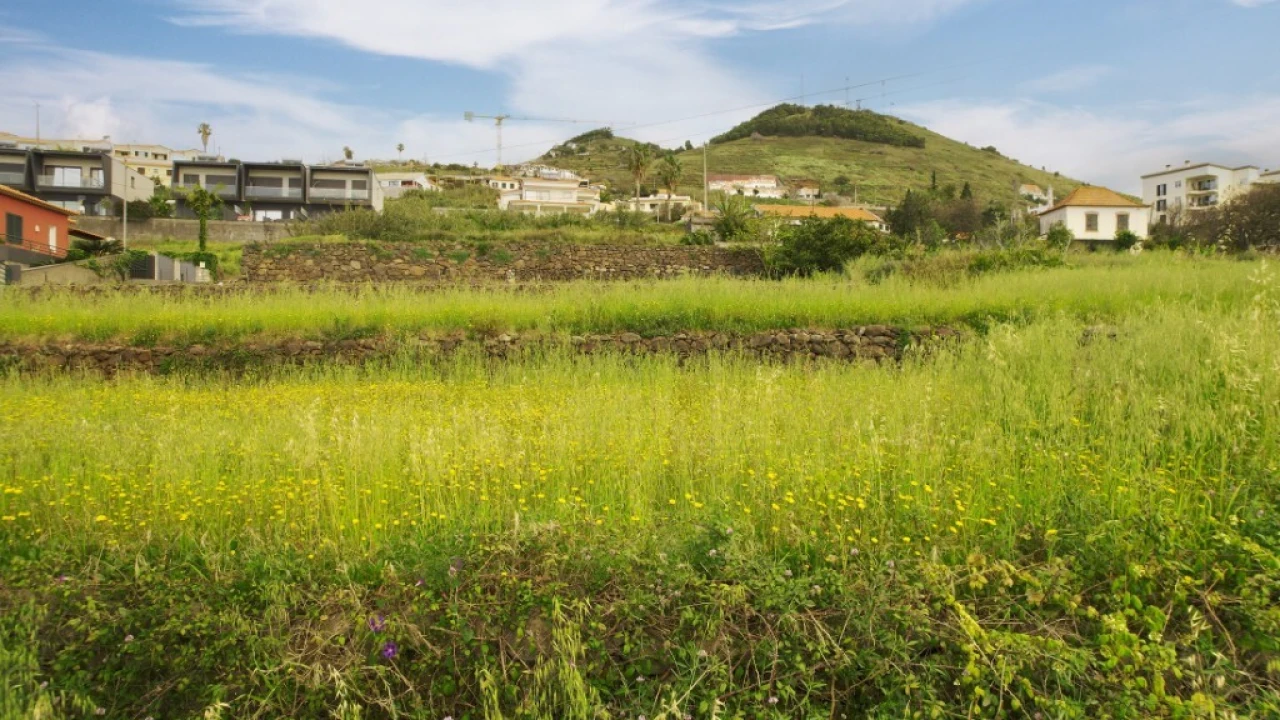 Terreno para Venda em Caniço Foto 11