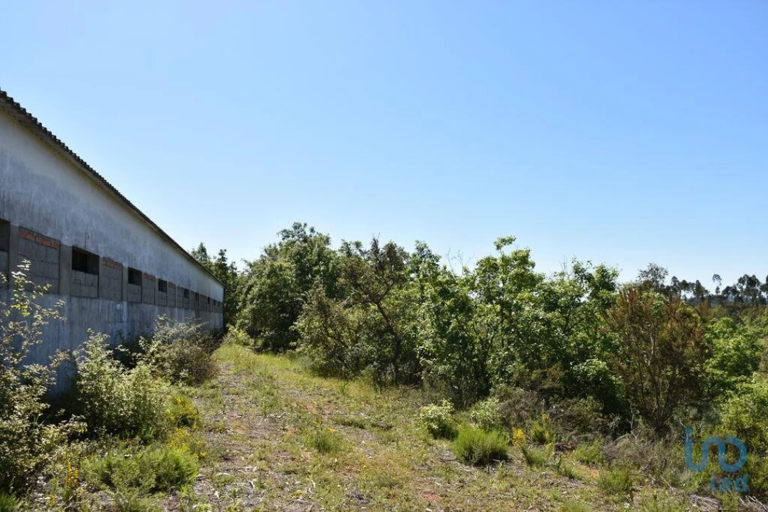 Armazém para Venda em Freixianda, Ribeira do Fárrio e Formigais Foto 9