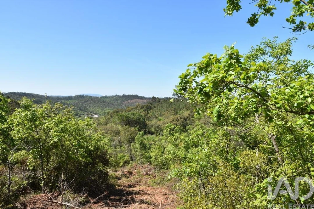 Armazém para Venda em Freixianda, Ribeira do Fárrio e Formigais Foto 27
