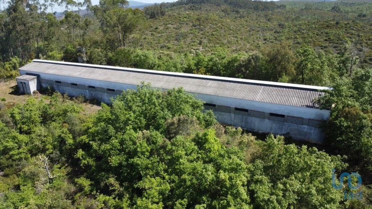 Armazém para Venda em Freixianda, Ribeira do Fárrio e Formigais Foto 1