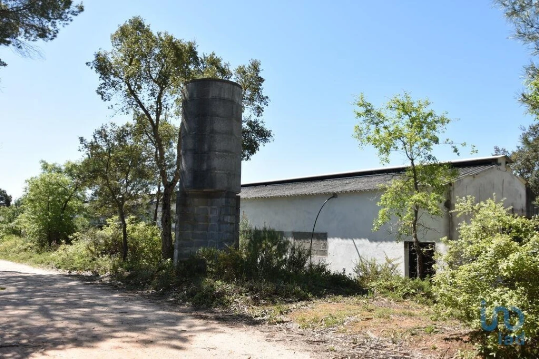 Armazém para Venda em Freixianda, Ribeira do Fárrio e Formigais Foto 7