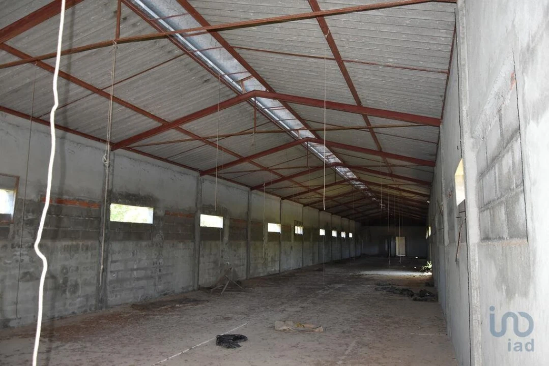 Armazém para Venda em Freixianda, Ribeira do Fárrio e Formigais Foto 15