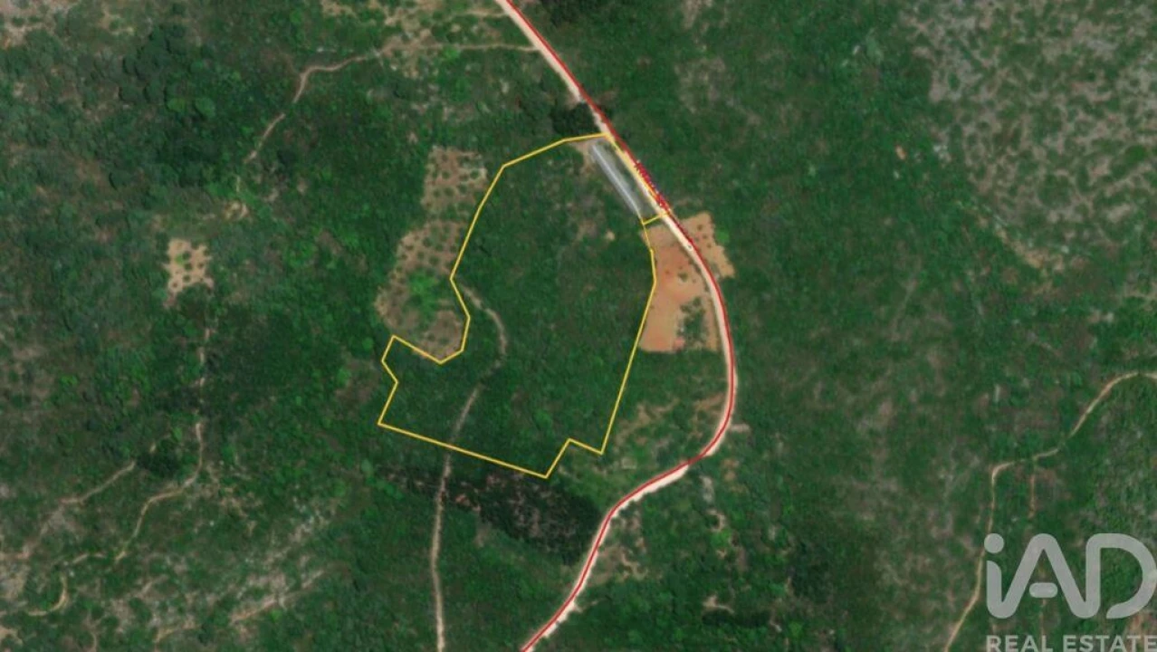 Armazém para Venda em Freixianda, Ribeira do Fárrio e Formigais Foto 29