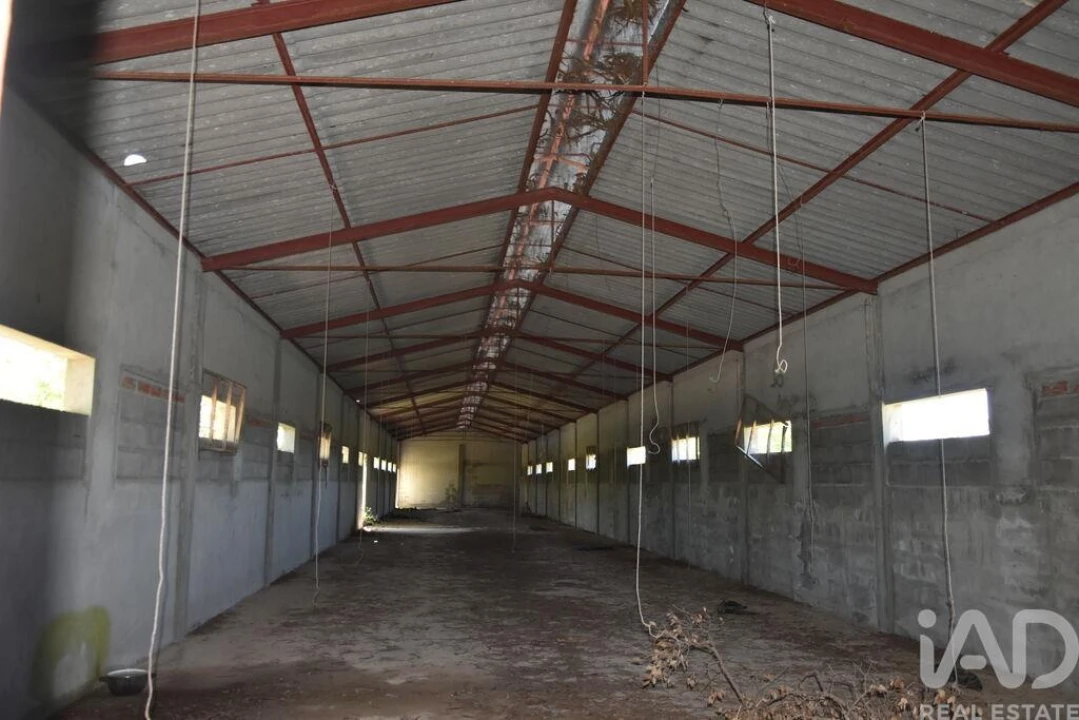 Armazém para Venda em Freixianda, Ribeira do Fárrio e Formigais Foto 17