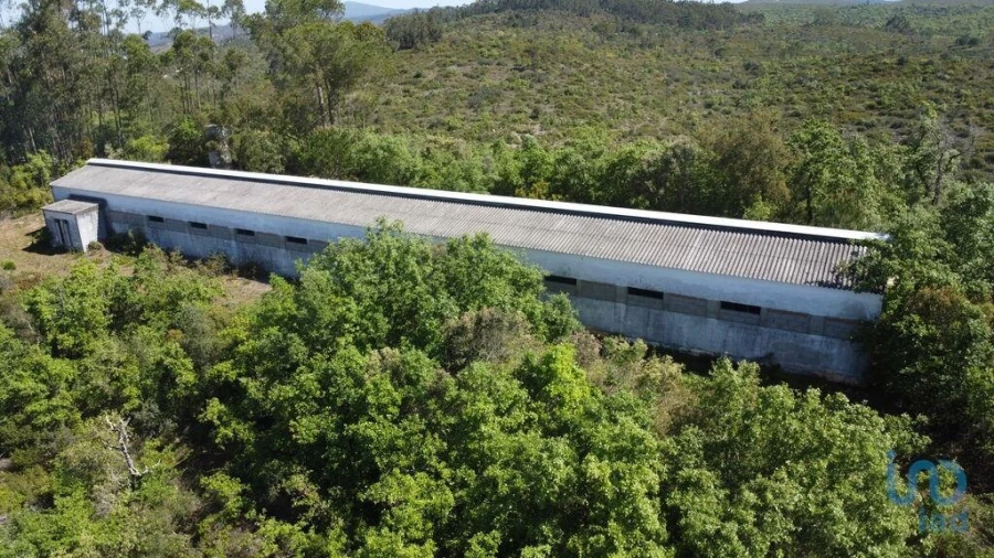 Armazém para Venda em Freixianda, Ribeira do Fárrio e Formigais