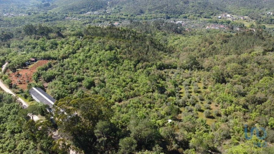 Armazém para Venda em Freixianda, Ribeira do Fárrio e Formigais Foto 2
