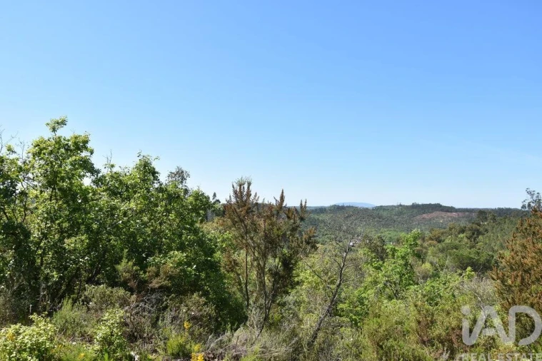 Armazém para Venda em Freixianda, Ribeira do Fárrio e Formigais Foto 25