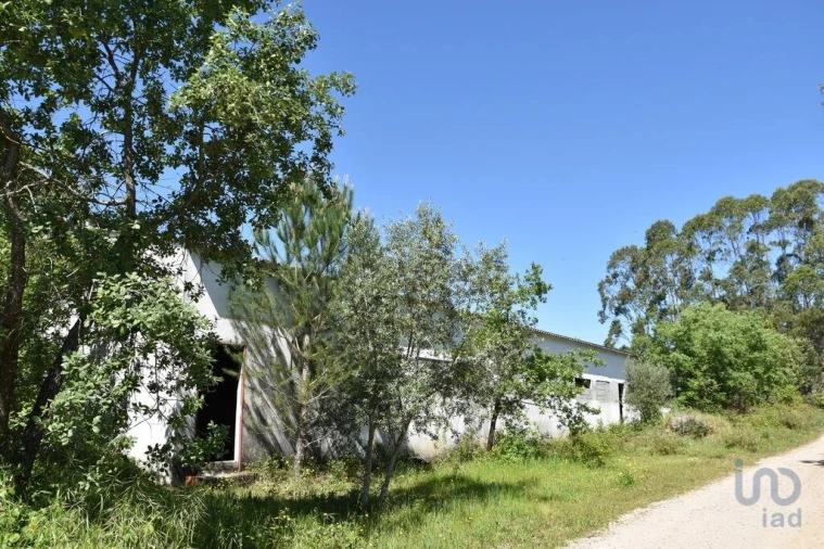 Armazém para Venda em Freixianda, Ribeira do Fárrio e Formigais Foto 5