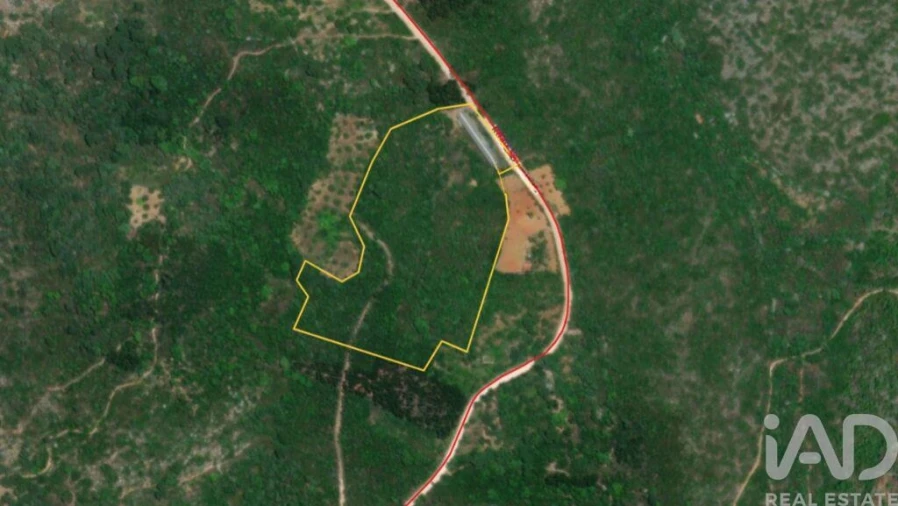 Armazém para Venda em Freixianda, Ribeira do Fárrio e Formigais Foto 29