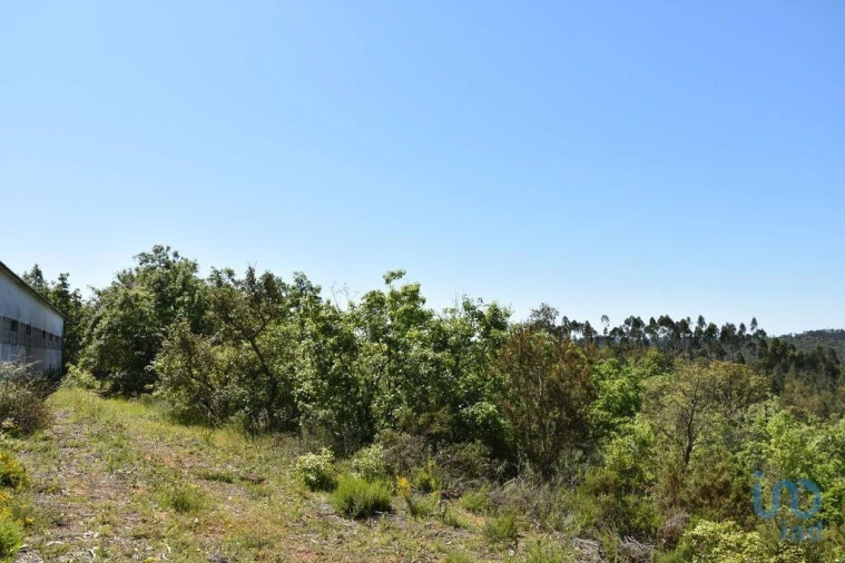 Armazém para Venda em Freixianda, Ribeira do Fárrio e Formigais Foto 10