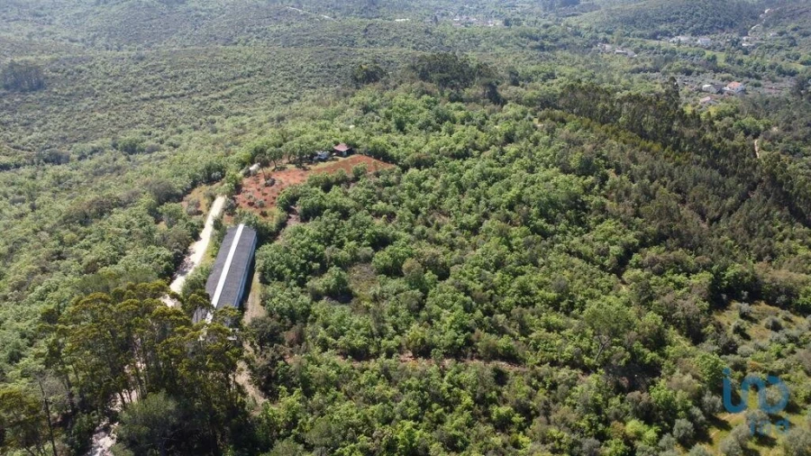 Armazém para Venda em Freixianda, Ribeira do Fárrio e Formigais Foto 4
