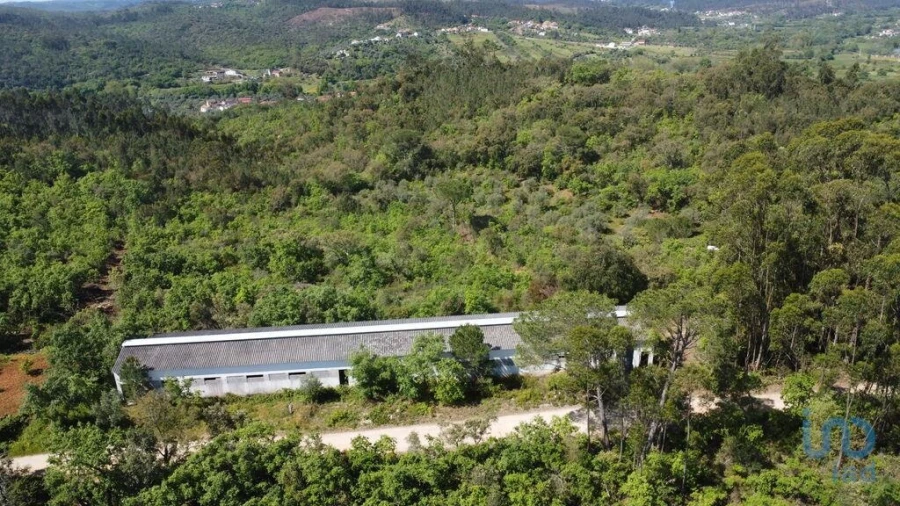 Armazém para Venda em Freixianda, Ribeira do Fárrio e Formigais Foto 3