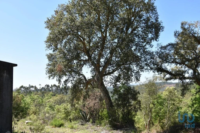 Armazém para Venda em Freixianda, Ribeira do Fárrio e Formigais Foto 14