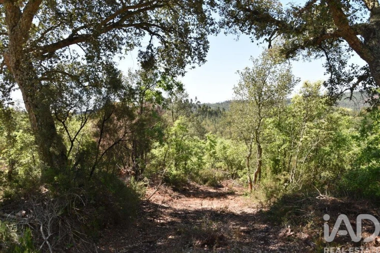 Armazém para Venda em Freixianda, Ribeira do Fárrio e Formigais Foto 28