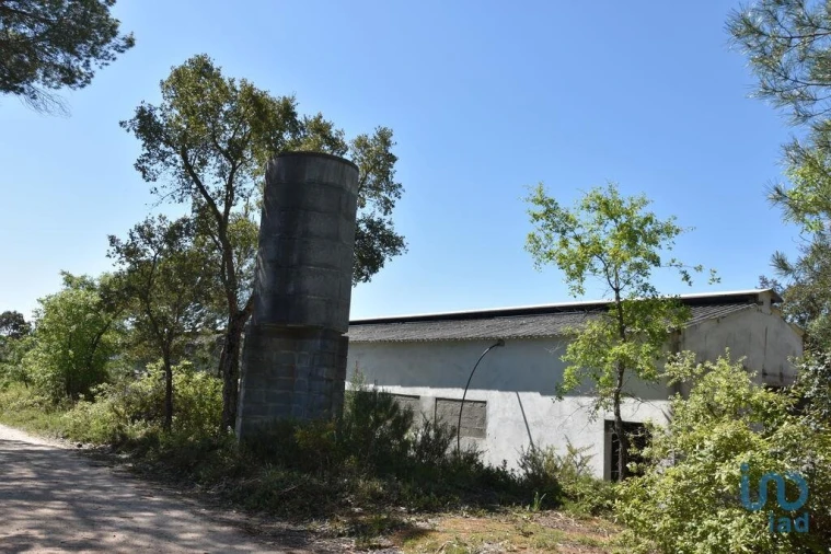 Armazém para Venda em Freixianda, Ribeira do Fárrio e Formigais Foto 6