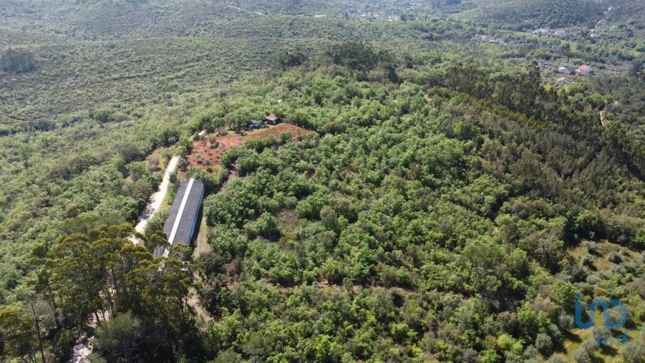 Armazém para Venda em Freixianda, Ribeira do Fárrio e Formigais Foto 4