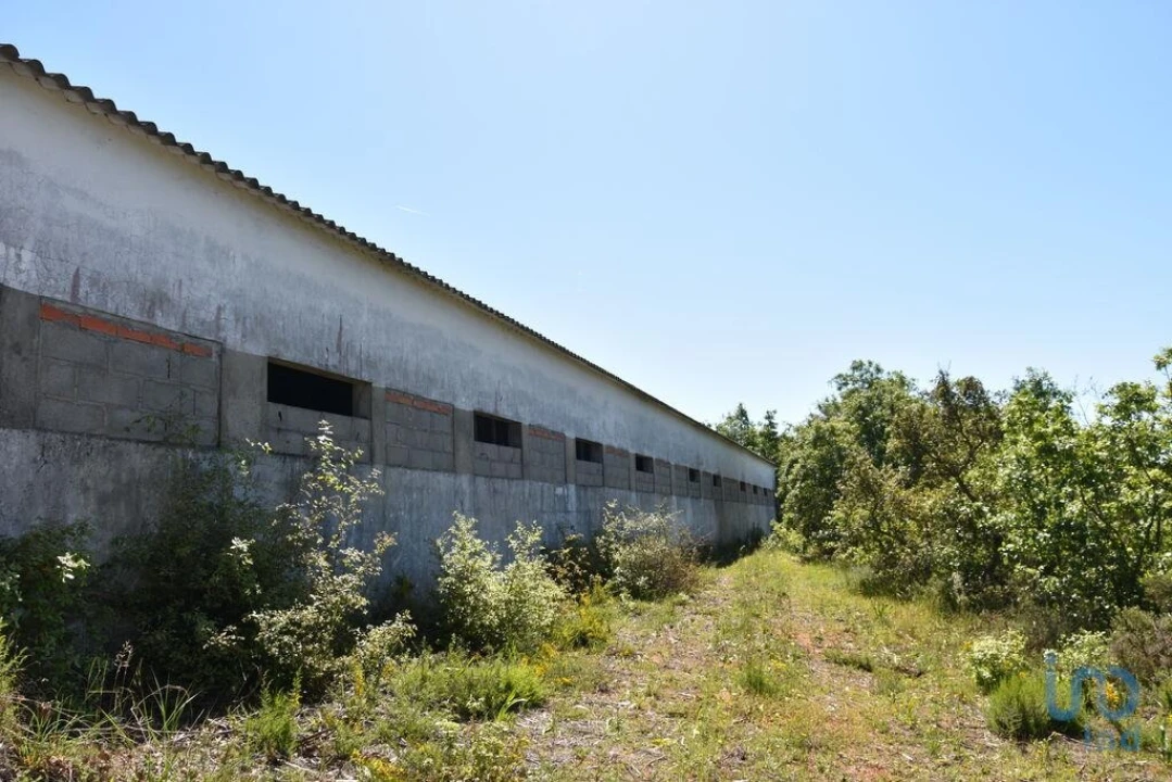 Armazém para Venda em Freixianda, Ribeira do Fárrio e Formigais Foto 8