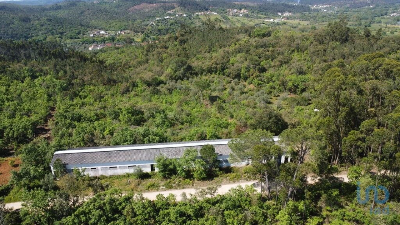 Armazém para Venda em Freixianda, Ribeira do Fárrio e Formigais Foto 3