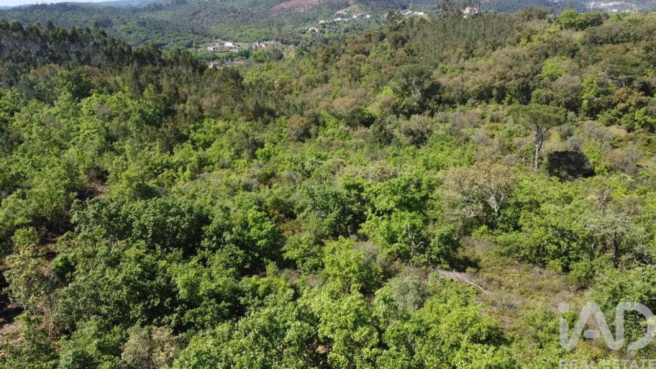 Armazém para Venda em Freixianda, Ribeira do Fárrio e Formigais Foto 23