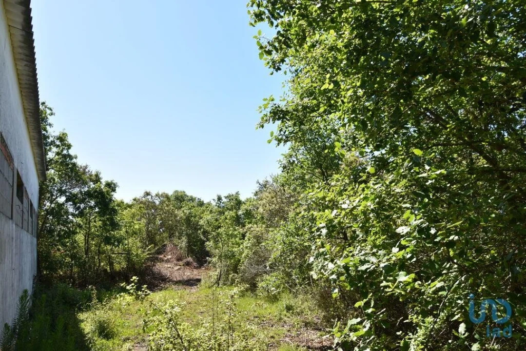 Armazém para Venda em Freixianda, Ribeira do Fárrio e Formigais Foto 11