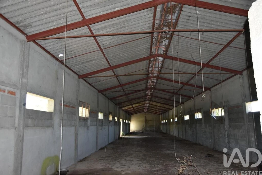 Armazém para Venda em Freixianda, Ribeira do Fárrio e Formigais Foto 18