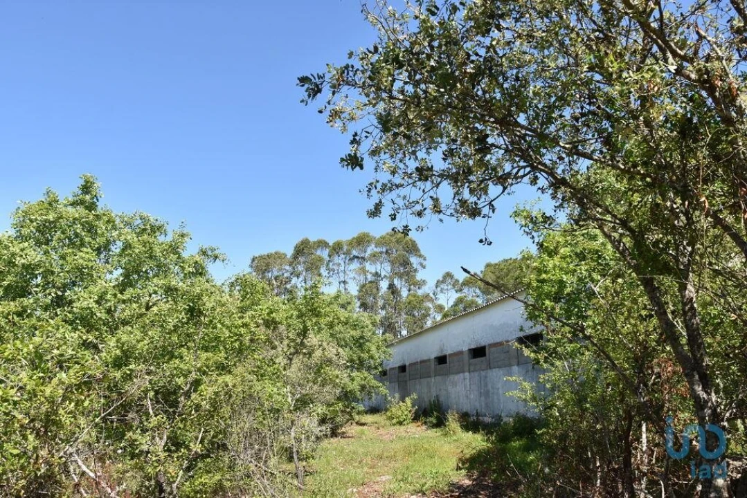 Armazém para Venda em Freixianda, Ribeira do Fárrio e Formigais Foto 12