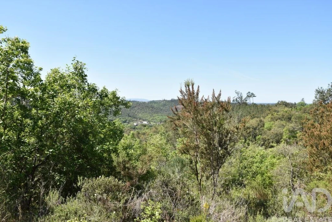 Armazém para Venda em Freixianda, Ribeira do Fárrio e Formigais Foto 24