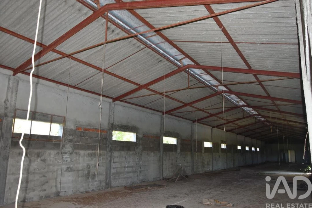 Armazém para Venda em Freixianda, Ribeira do Fárrio e Formigais Foto 16