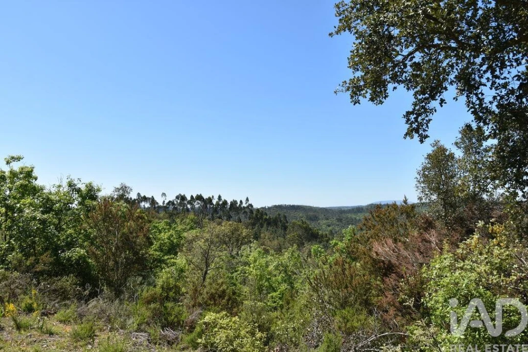 Armazém para Venda em Freixianda, Ribeira do Fárrio e Formigais Foto 26