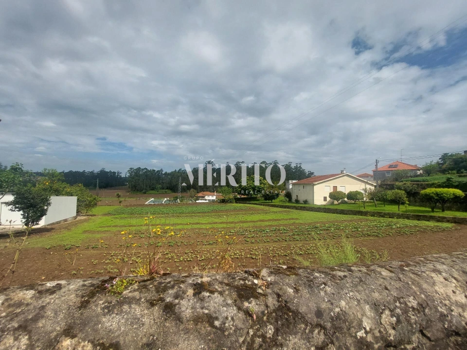 Terreno para Venda em Rio Mau e Arcos Foto 4
