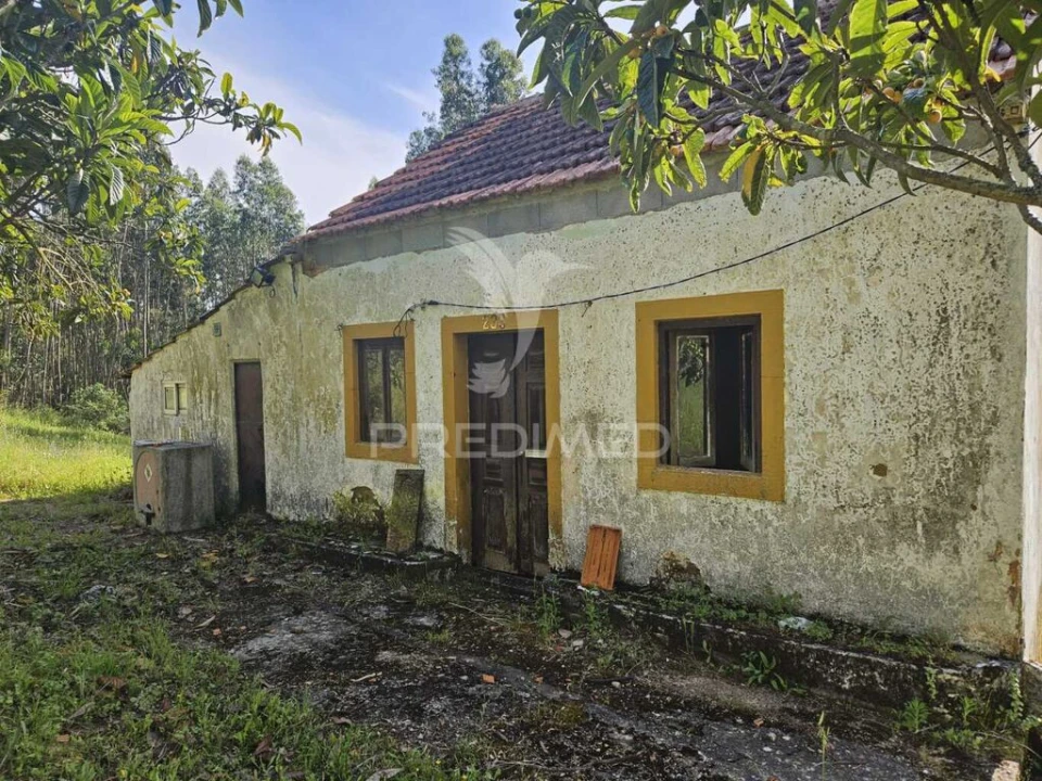 Moradia T2 para Venda em Nossa Senhora do Pranto Foto 7