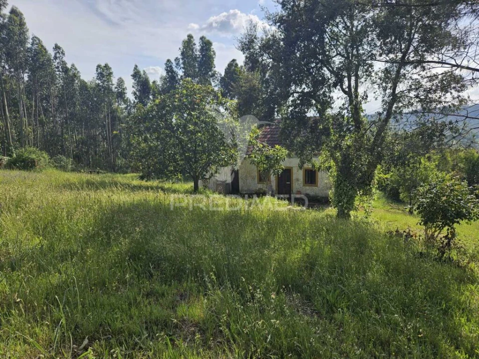 Moradia T2 para Venda em Nossa Senhora do Pranto Foto 5
