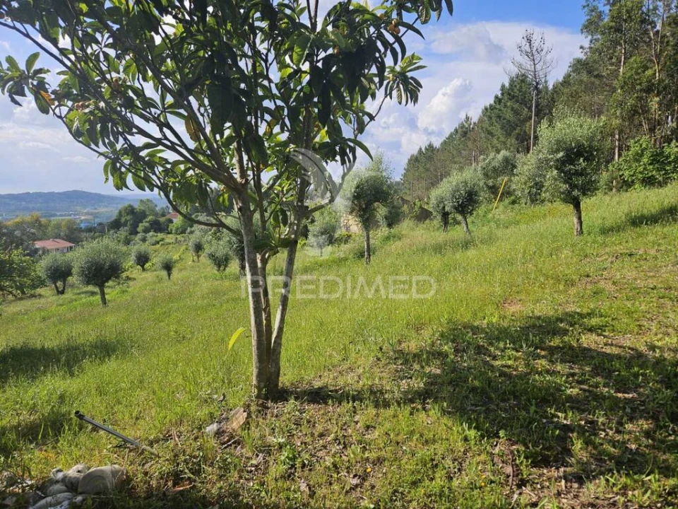 Moradia T2 para Venda em Nossa Senhora do Pranto Foto 12