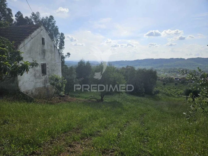 Moradia T2 para Venda em Nossa Senhora do Pranto Foto 14