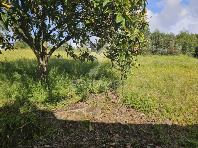 Moradia T2 para Venda em Nossa Senhora do Pranto Foto 8