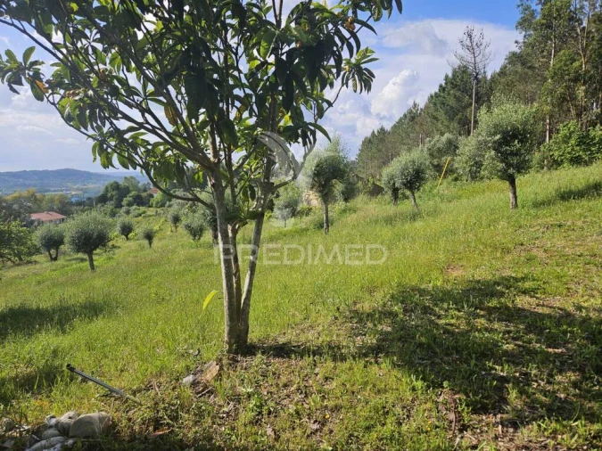 Moradia T2 para Venda em Nossa Senhora do Pranto Foto 12