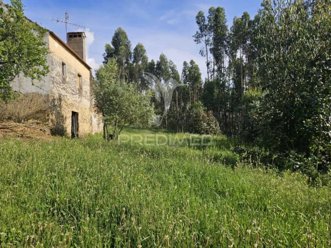 Moradia T2 para Venda em Nossa Senhora do Pranto Foto 4