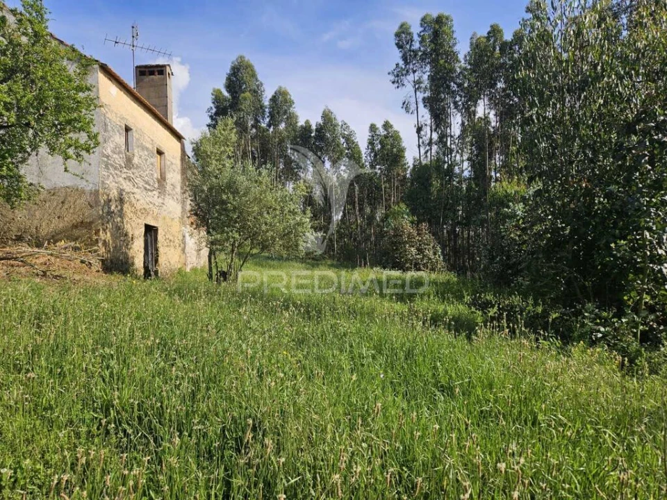 Moradia T2 para Venda em Nossa Senhora do Pranto Foto 4