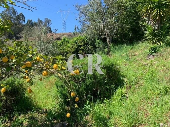 Moradia T3 para Venda em Arrifana Foto 34