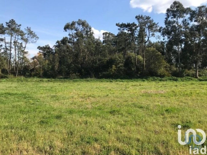 Terreno para Venda em Calvão Foto 3