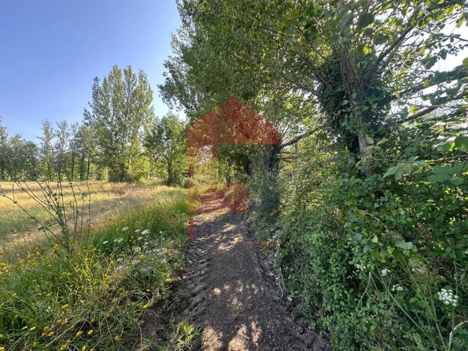 Terreno para Venda em Ribeira do Neiva Foto 23